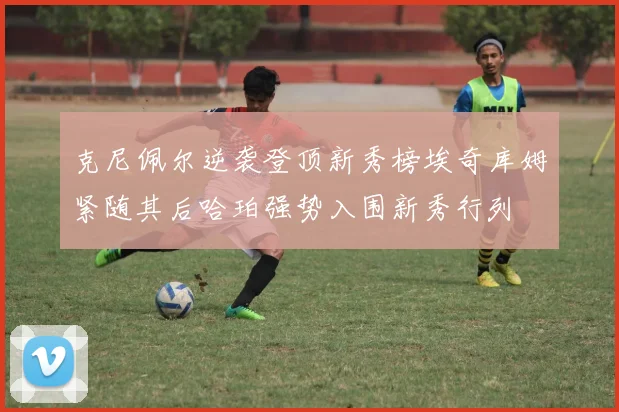 克尼佩尔逆袭登顶新秀榜埃奇库姆紧随其后哈珀强势入围新秀行列